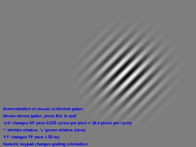 mouse_gabor_2d.py screenshot